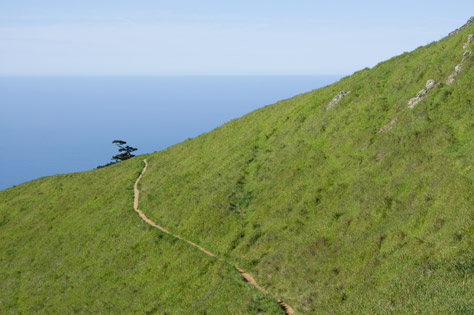 photo, Mount Tam Path